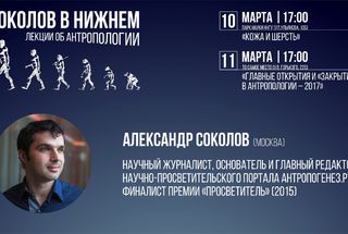 Нижний Новгород: Две лекции Александра Соколова об антропологии