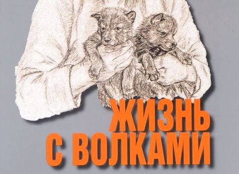 В Дарвиновском музее расскажут об этологе Ясоне Бадридзе
