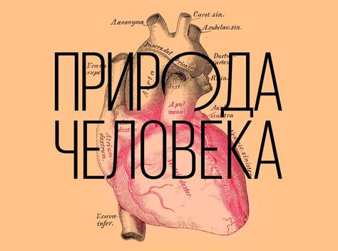 12 ноября, Москва: лингвист Максим Кронгауз о природе человека